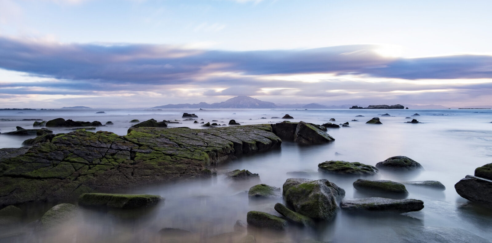 Embracing This Life I live